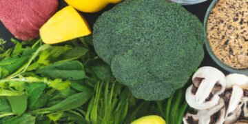 Balancing Macro and Micro-Nutrients in a High-Protein Diet