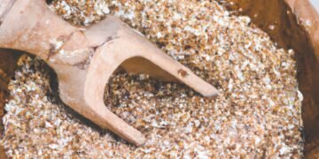 The Role of Fiber in a Healthy Diet: Aiding Digestion and More