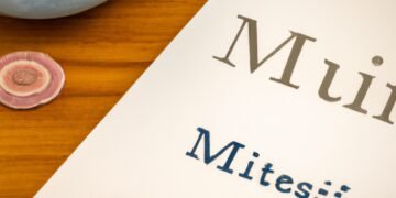 Cultivating Mindfulness: Practicing Present-Moment Awareness