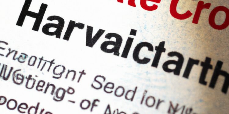 Cardiovascular Workouts: Boosting Heart Health through Exercise