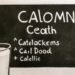 Calcium-Rich Diet: Ensuring Strong Bones and Teeth
