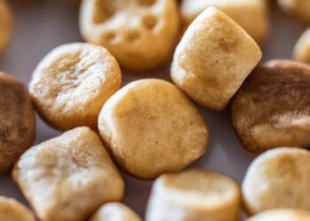 High-Protein Snacks: Satisfying Cravings with Nourishing Bites